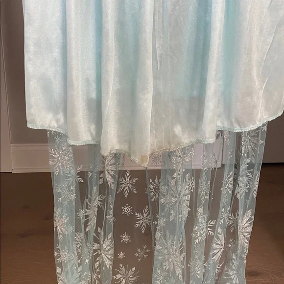 Adult Elsa Frozen Dress Costume - Picture 8 of 11